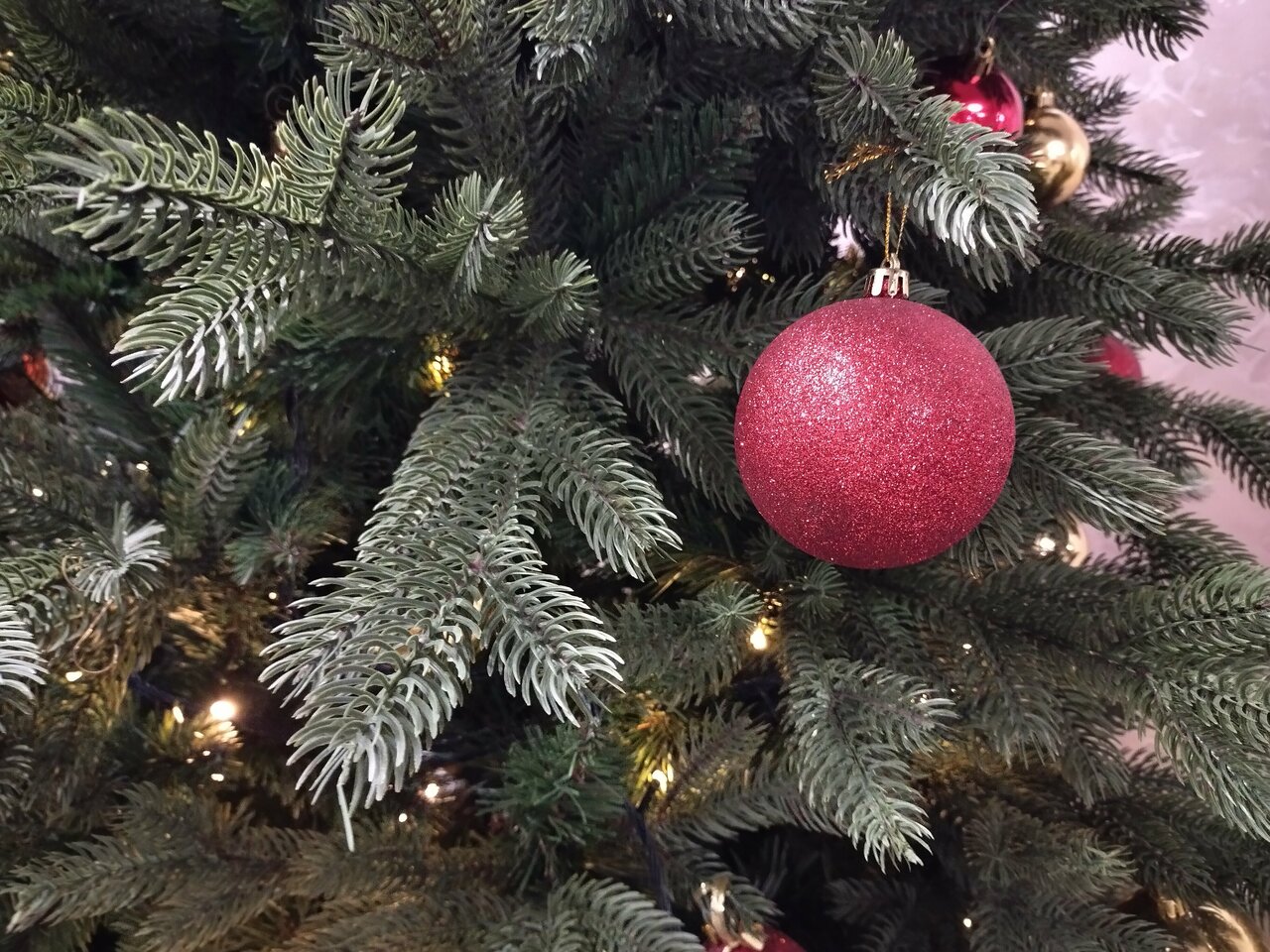 Гостиница Сокол Москва-207