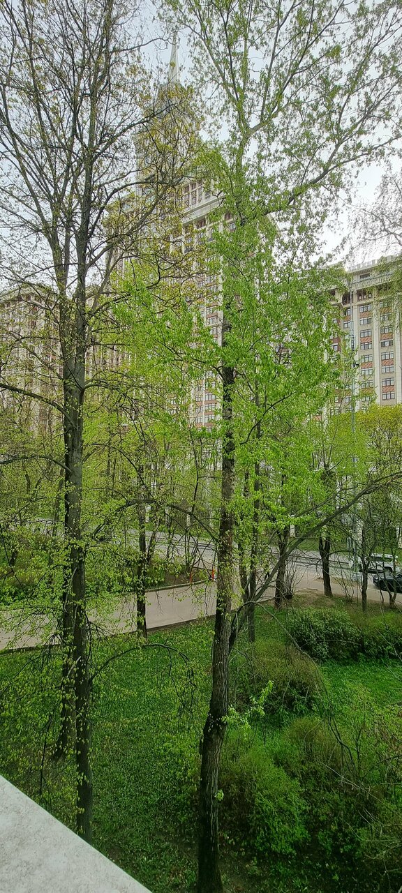 Гостиница Сокол Москва-230