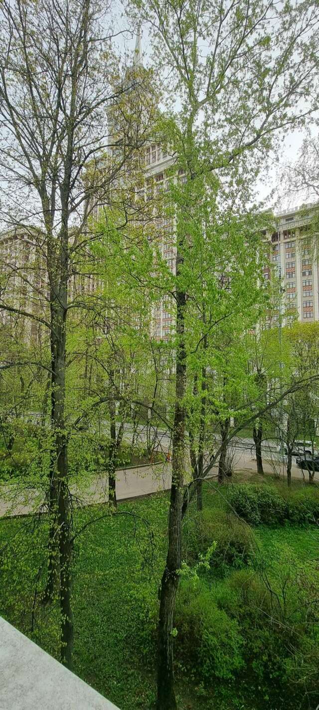 Гостиница Сокол Москва-229